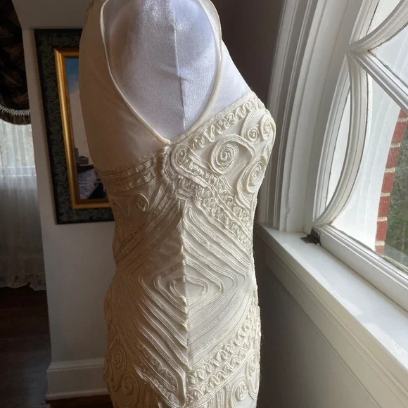 Designer Cache Elegant Sheath Amazing Applique - Picture 11 of 16